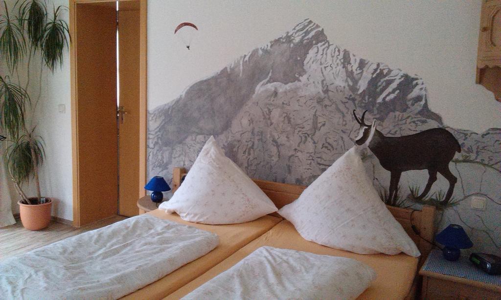 Ferienwohnungen Kral グライナウ 部屋 写真